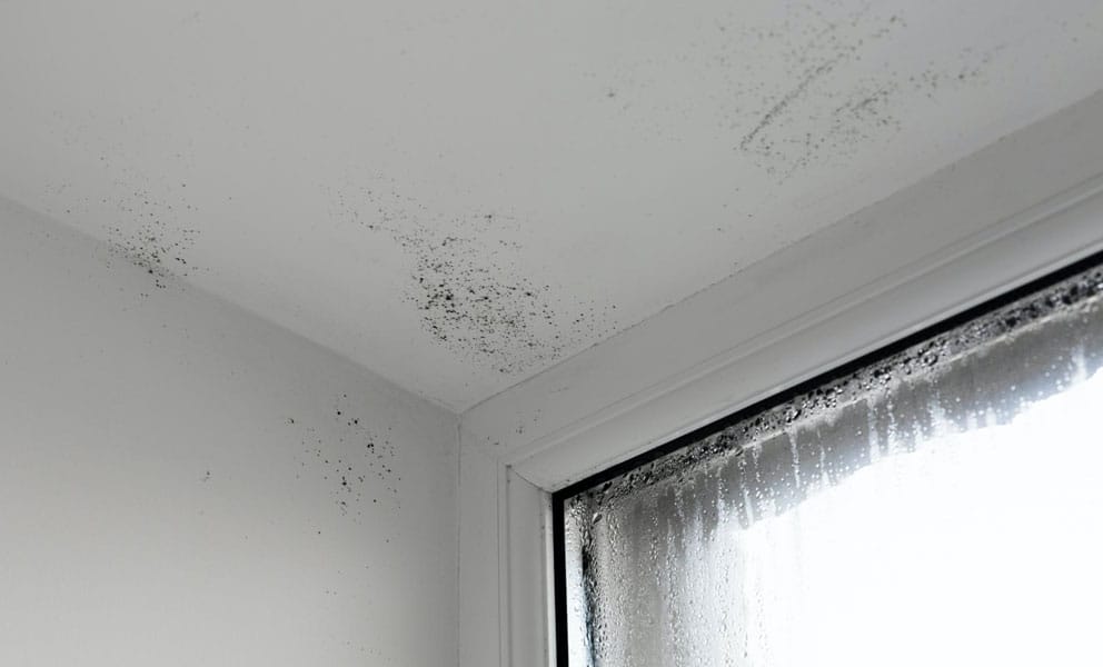 How to Cure Humidity Damp and Condensation Inside Your Home